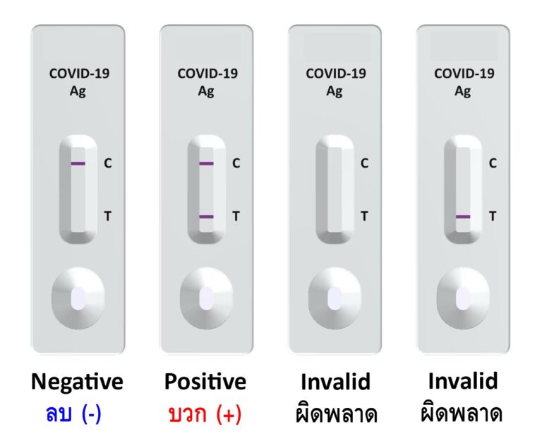 Rapid Antigen Test คืออะไร? มีชุดตรวจโควิด-19 ด้วยตัวเอง ...